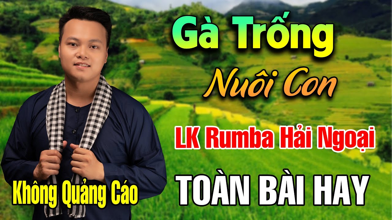 Gà Trống Nuôi Con - MỞ TO CHO CẢ XÓM PHÊ - Liên Khúc Rumba Hải Ngoại Vượt Thời Gian, Nghe Cực Hay