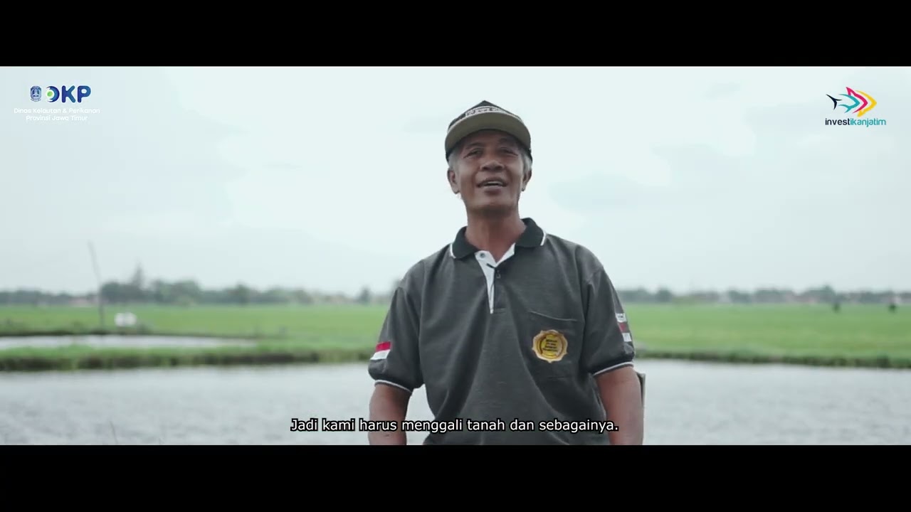 SUCCES STORY BUDIDAYA IKAN PATIN DI JOMBANG