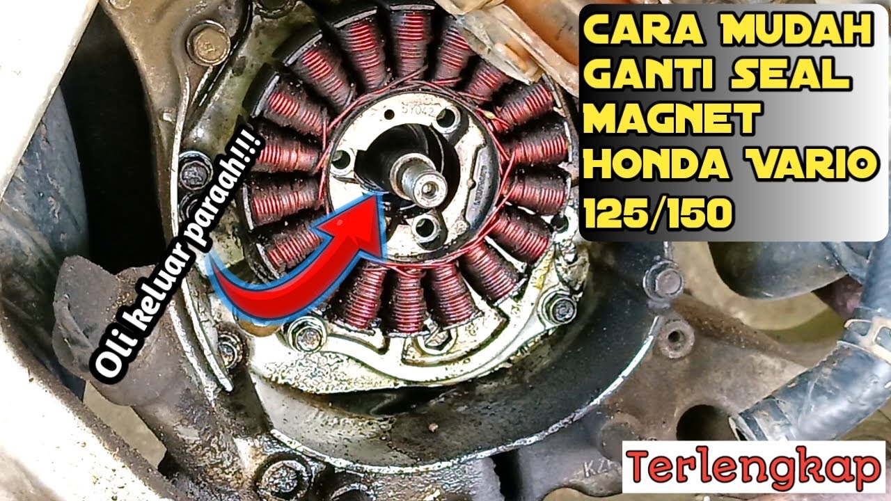Cara mudah ganti seal MAGNET Vario 125/150