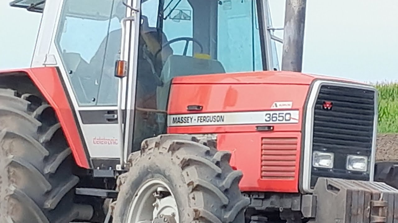 Massey Ferguson 3650 con aratro trivomere Spada e Gatti