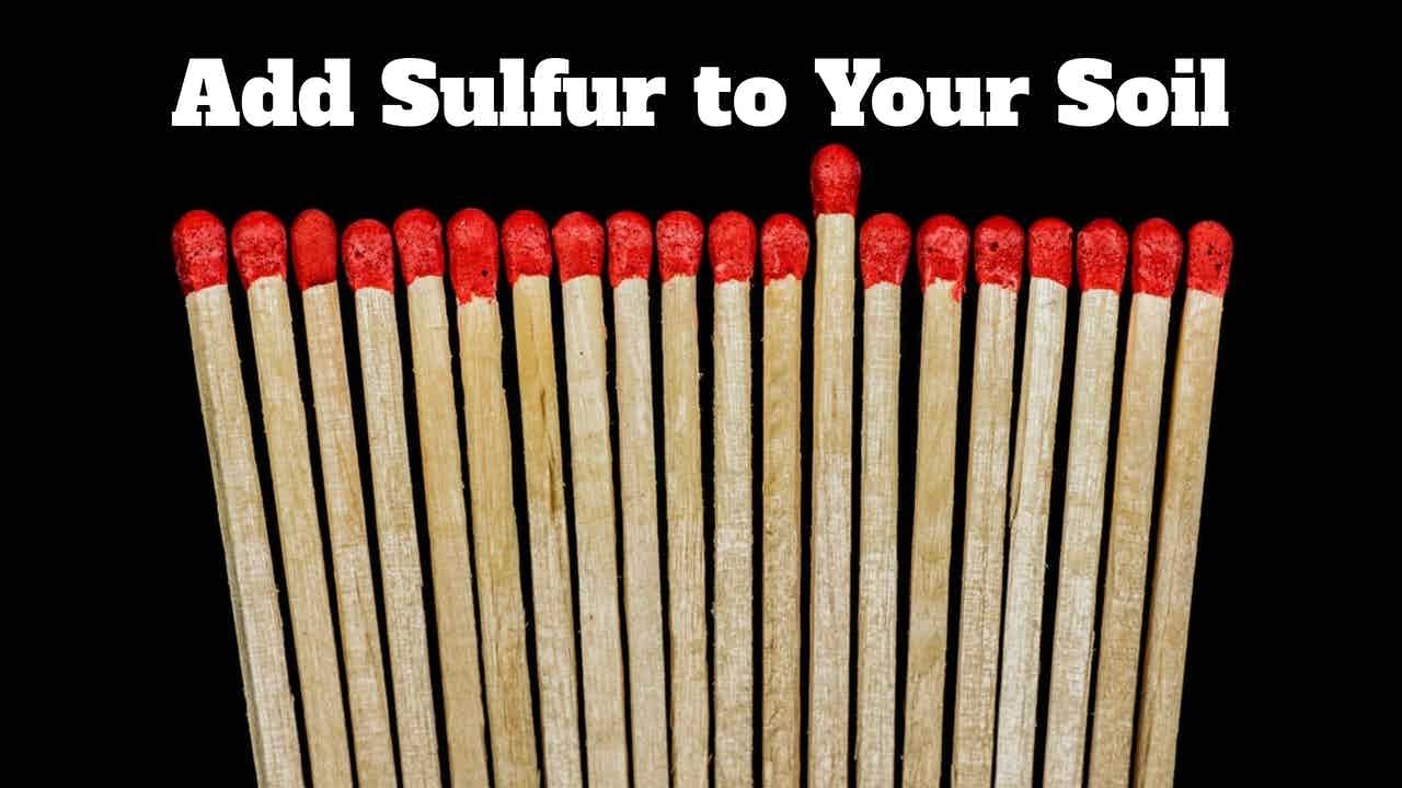 GardenRx: Adding Sulfur to Your Soil