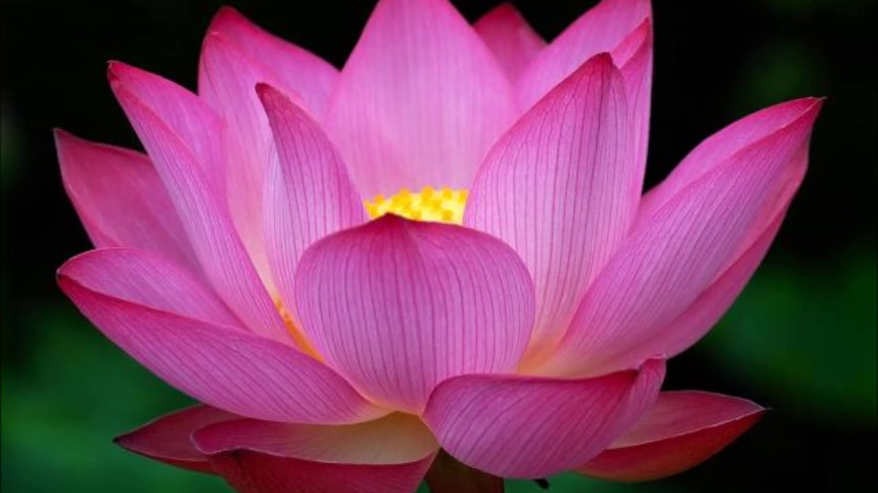 Adyashanti balance in being with others and the importance of no agenda