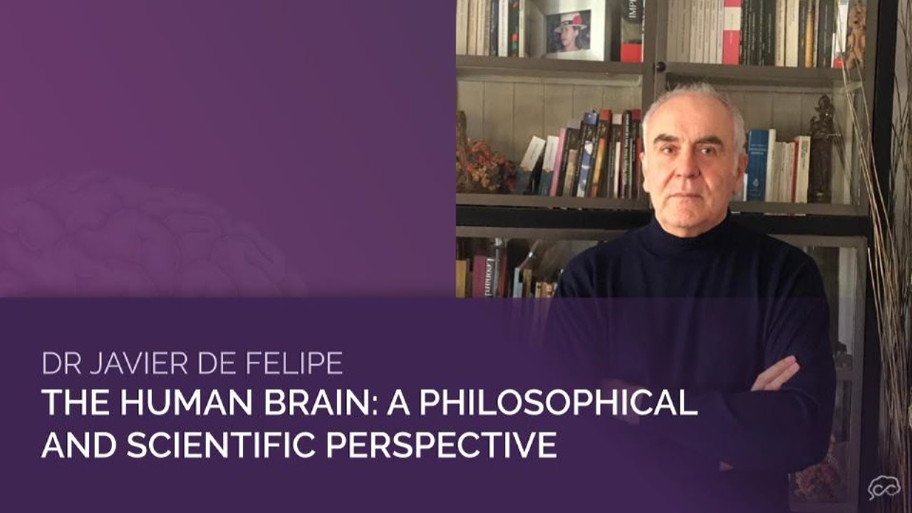 Dr Javier de Felipe:  The human brain: A philosophical and scientific perspective | Corpus Curiosum