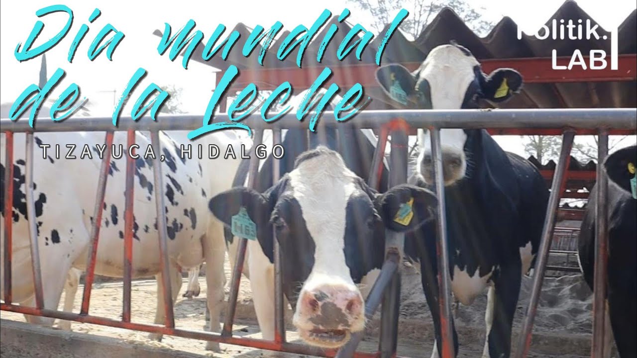 DÍA DE LA LECHE TIZAYUCA