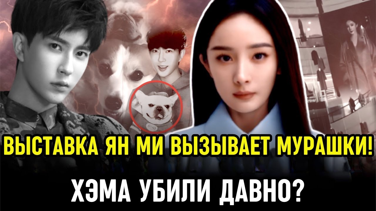 Дело Ю Мэнлуна: Выставка Ян Ми! Собаку Юй Мэнлуна убили в 2020? «Человеко-рудная» экономика раскрыта