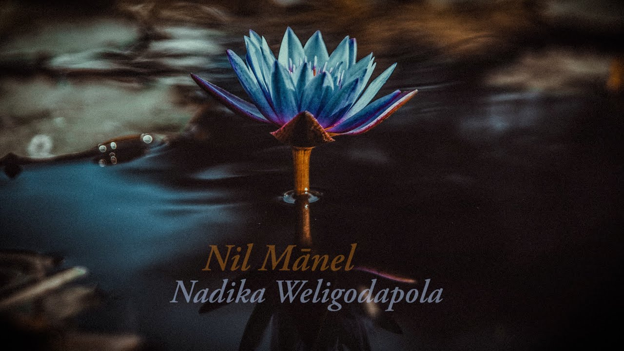 Nadika Weligodapola - Nil Mānel (Official Audio)
