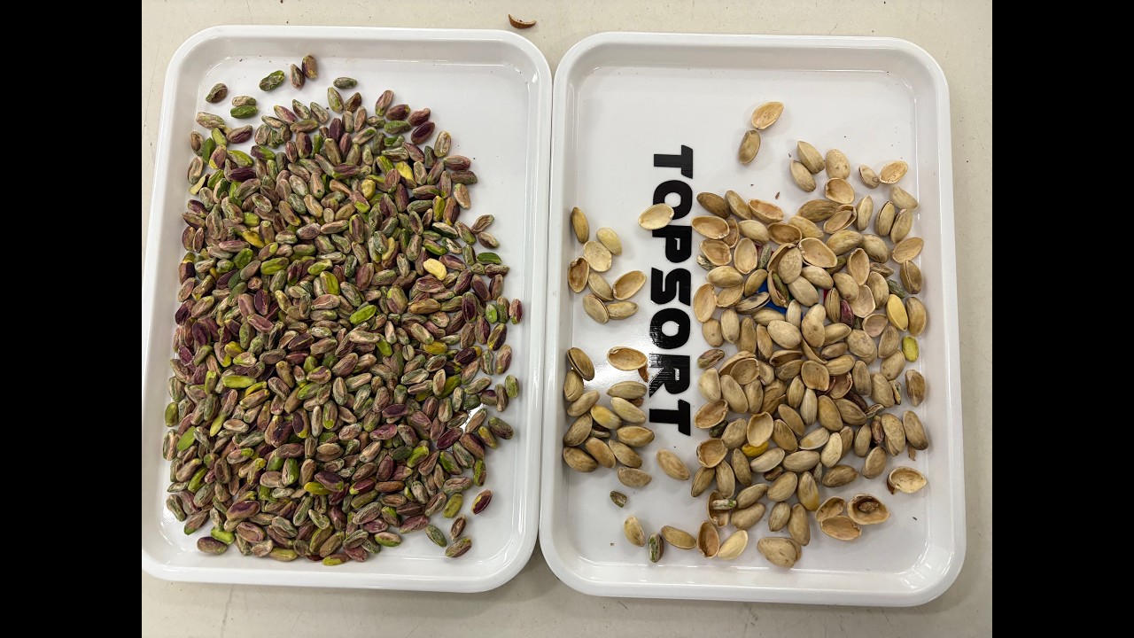 TOPSORT pistachio AI color sorter with new deep learning technology