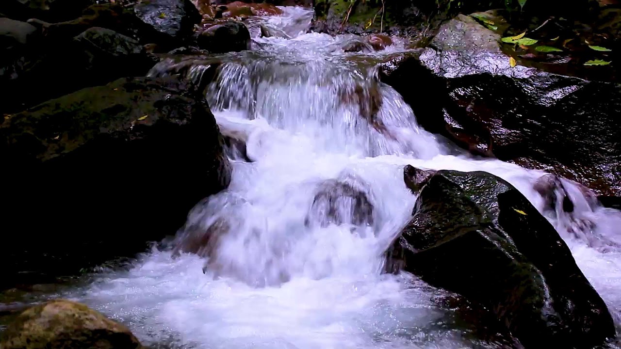 Mountain River Flowing Water Sounds for Stress Relief and Mental Calm
