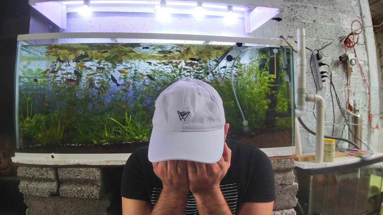 QUE PASÓ CON ACUARIO TOTAL??