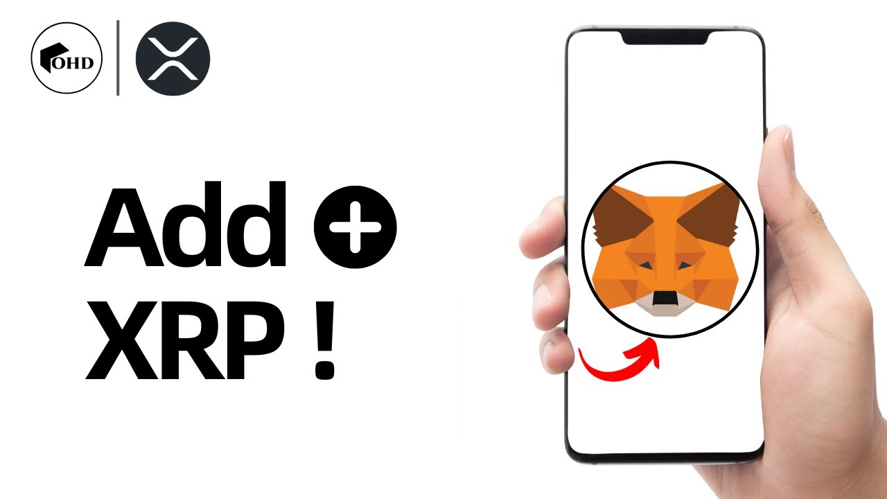 How to Add XRP to MetaMask Wallet [2025 Working Method Explained]