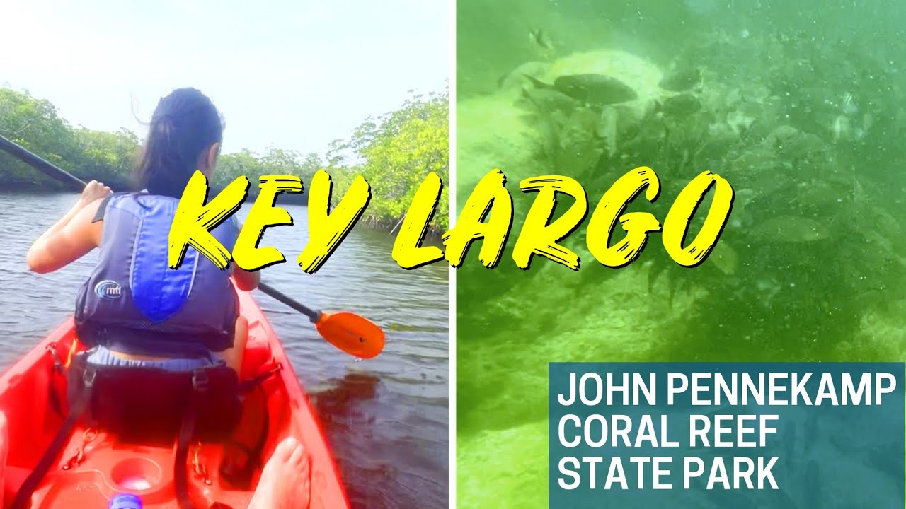 John Pennekamp Snorkeling & Kayaking | Florida Keys