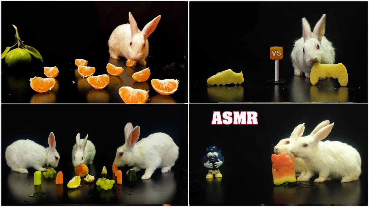 ASMR FOOD Something CRAZY Happened After the First Crunch… 👀🔥