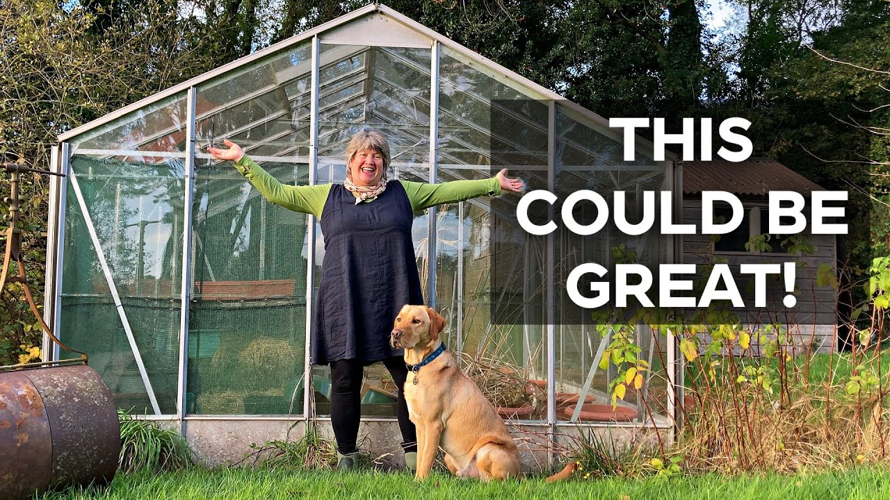 Rejuvenating a greenhouse | For winter growing under cover