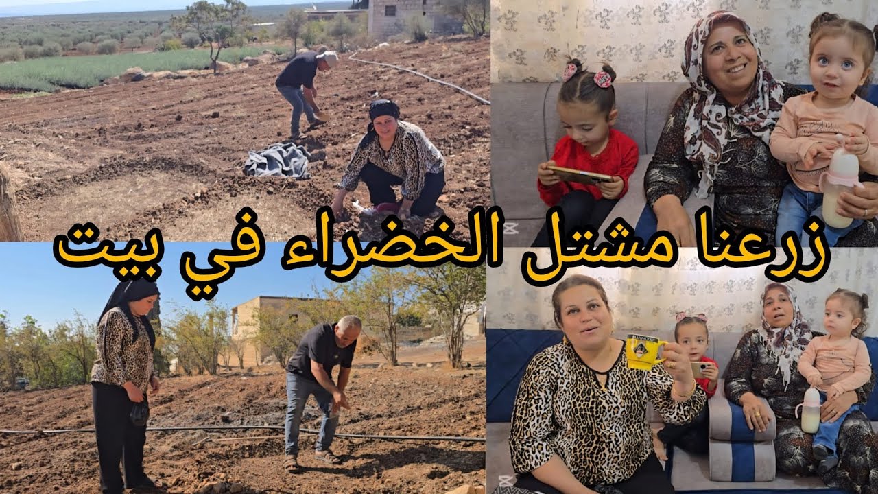 زرعنا كل أنواع خضروات في بستان البيت أجاني ضيوف #قناه_ام_رودي #اكسبلور 