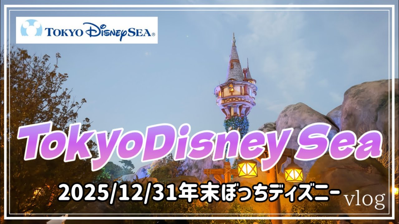 【TDS】年末にぼっちでディズニー納め🐭⭐️🏰🎍vlog