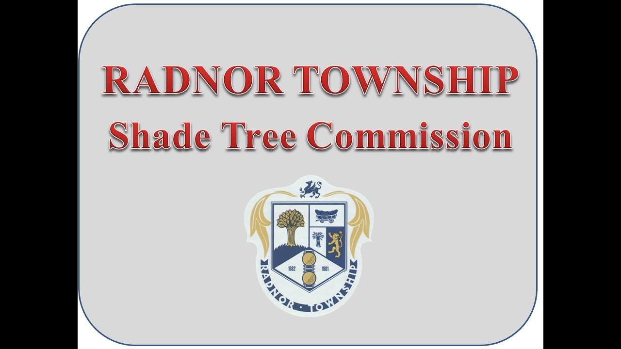 Shade Tree Commission - December 2, 2025