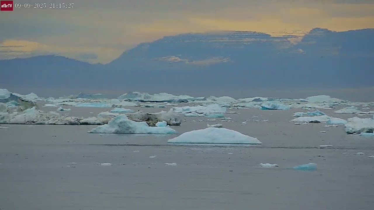 Sep 9, 2025: Humpback Whales Caught on Camera on Iceberg Cam in Greenland