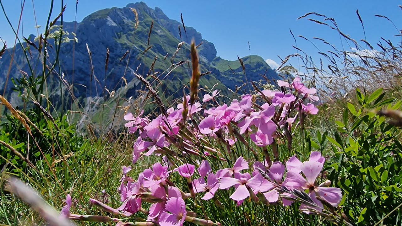 Compostelle & Compagnie : Roc Lancrenaz par le Col des Nantets