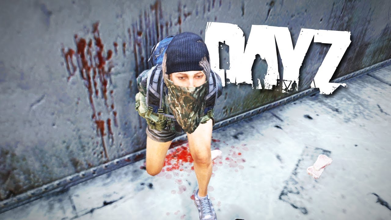 Bandit demands Trial By Combat in DayZ...