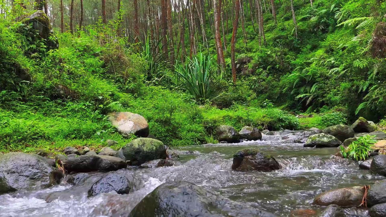 Flow of Calm – River Sounds for Deep Focus, Mind Balance & Stress Relief