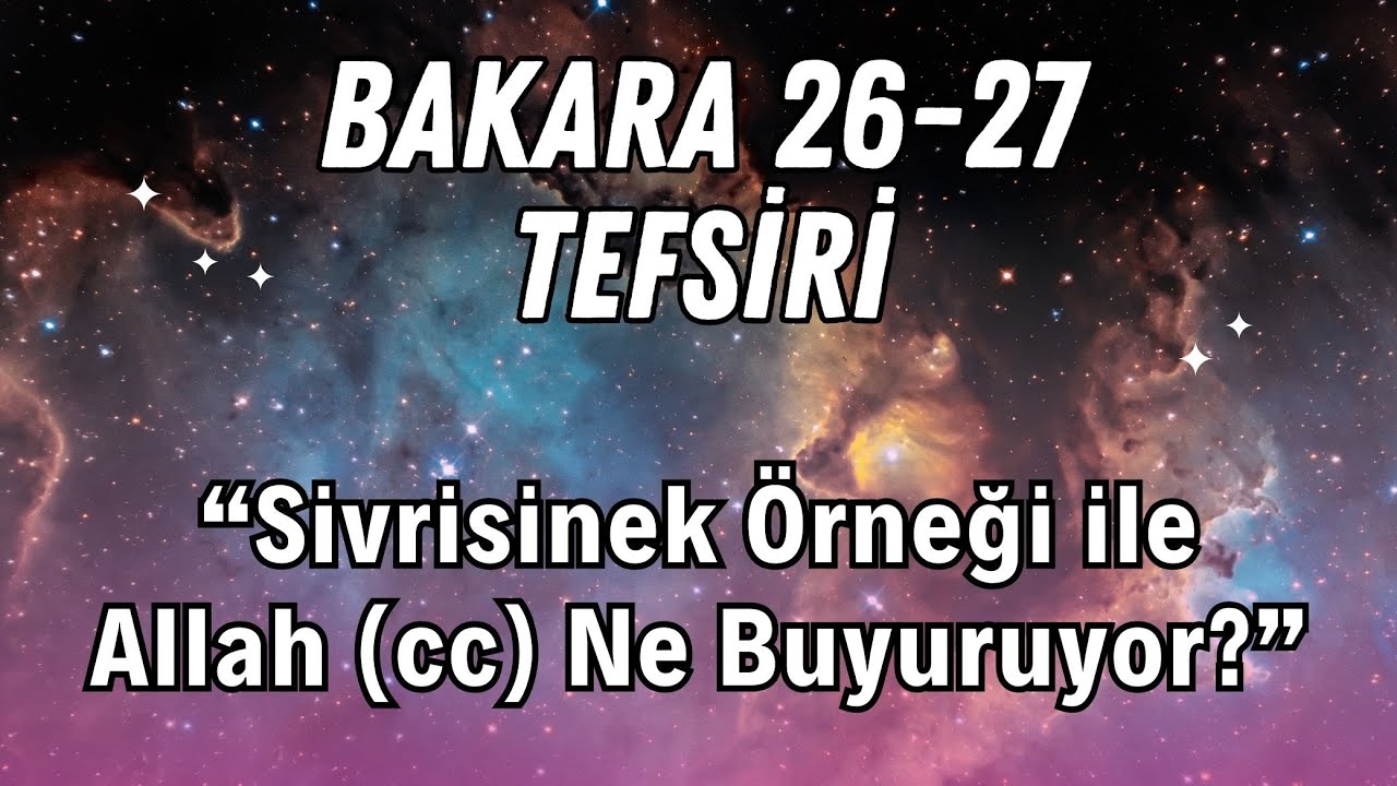Bakara Suresi 26 ve 27. Ayetlerin Tefsiri | Fasıkların Özellikleri ve Kur'an'daki Sivrisinek Örneği
