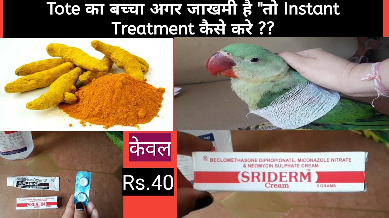 Tote का बच्चा अगर जाखमी है 
