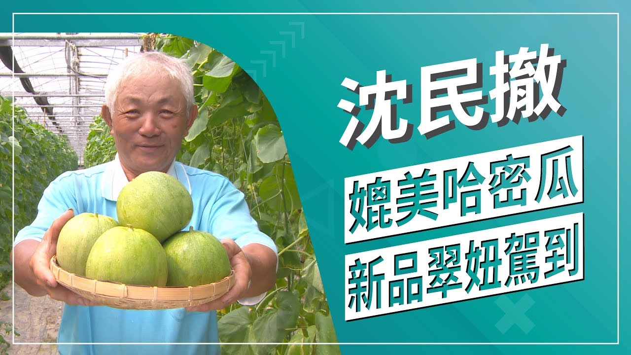 草地狀元-哈味新品翠妞達人(2019.09.02播出)
