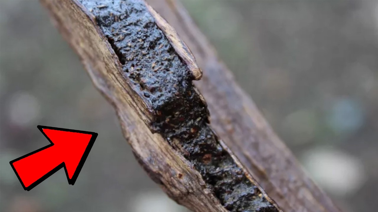 15 Natural Substances More Valuable than GOLD