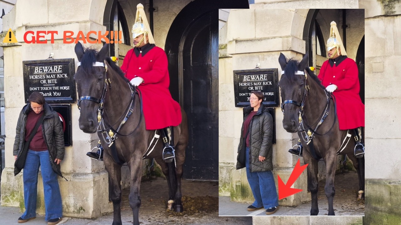 The Moment the Horse Guard Had to Warn a Tourist