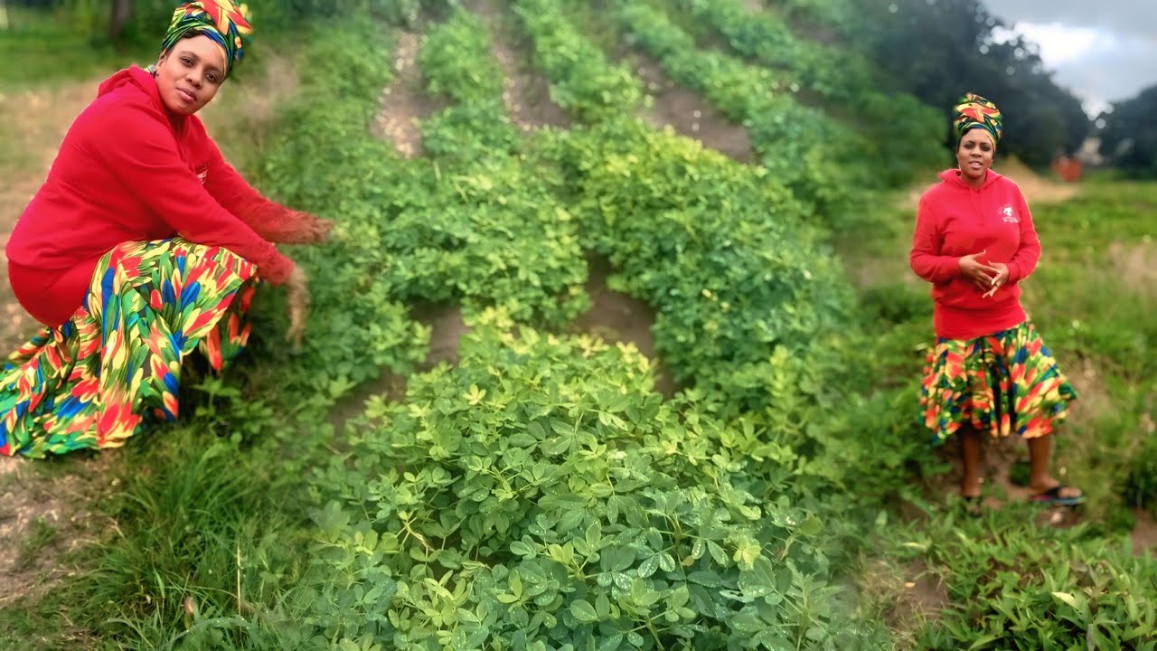Shocking discovery on a local farm.