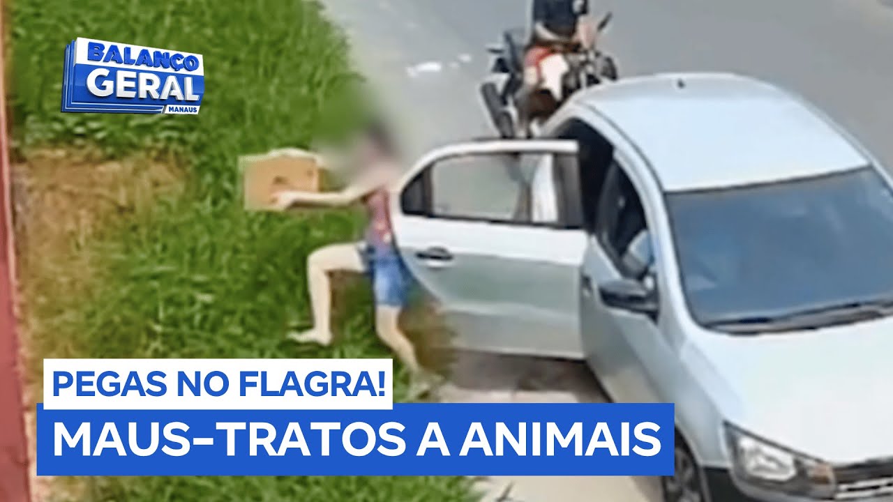 Mãe e filha que abandonaram filhotes de cachorro em mata vão responder por maus-tratos