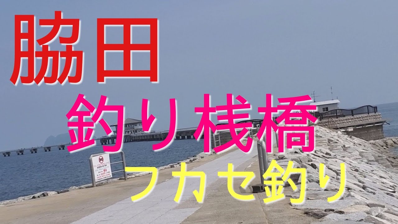 【脇田釣り桟橋】フカセ釣り編