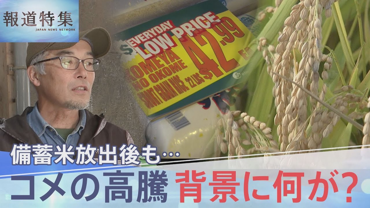 備蓄米放出後も…コメ高騰、農家が抱く危機感「農家数が減少、農村守る政策を」 卸売業者「JA全農が用意できないという話」【報道特集】｜TBS NEWS DIG