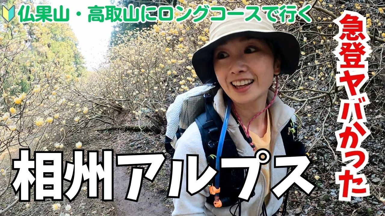 【神奈川】相州アルプス｜ミツマタ桃源郷～仏果山・高取山へ　急登まつり　#初心者　#低山