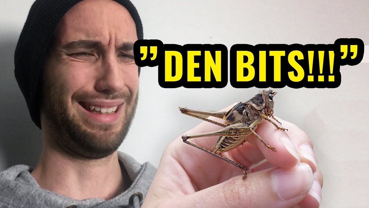M&Ouml;TER MIN ST&Ouml;RSTA FOBI I YOUTUBE-HUSET!