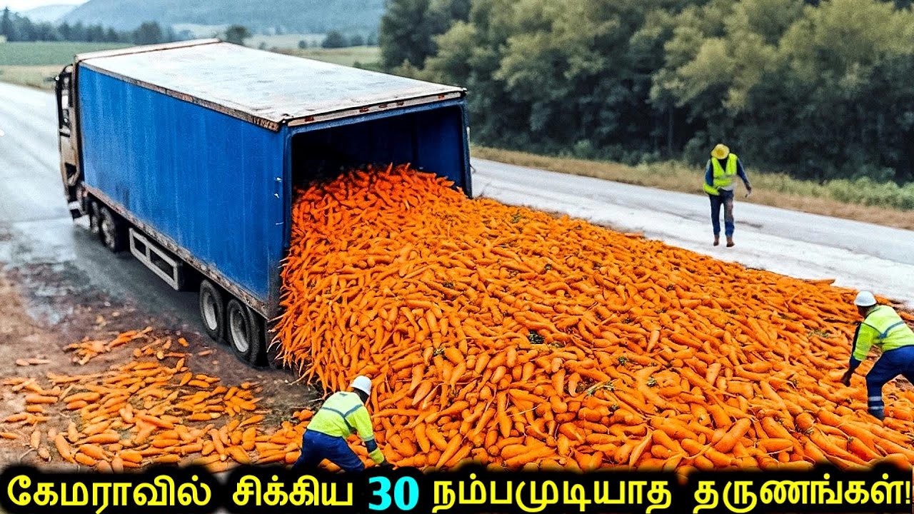 🎦கேமராவில் சிக்கிய 30 நம்பமுடியாத தருணங்கள்! | Amazing Moments Caught On Camera | New Ultimate