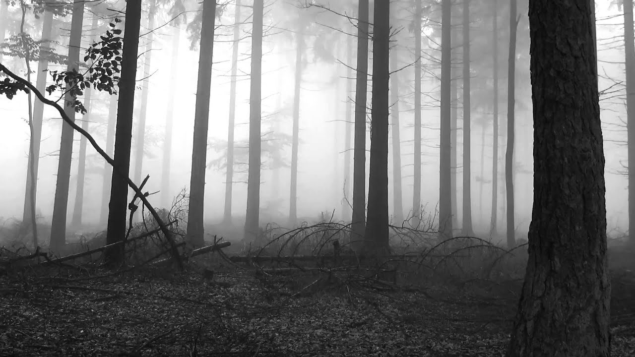 Rktic - Wandelhalle Dub techno