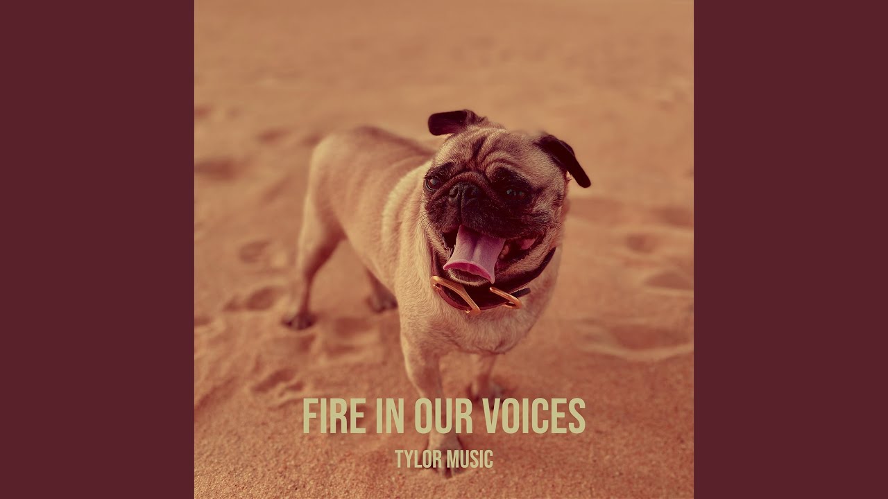 Fire in Our Voices