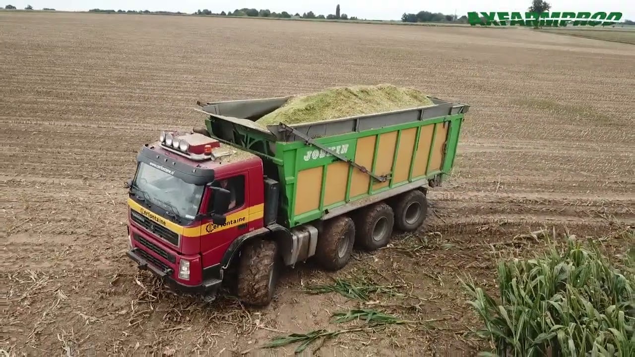 Ensilage de maïs - Claas jaguar - 2x Terbeg 8x8, Fendt 724 - Cerfontaine