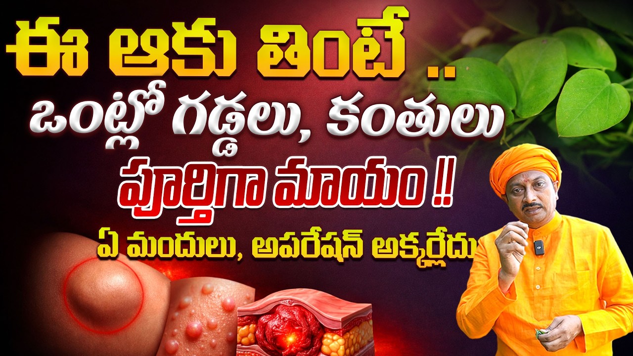 ఈ ఆకు తింటే .. ఒంట్లో గడ్డలు, కంతులు పూర్తిగా మాయం | Ravivarma | AYUR MANTRA