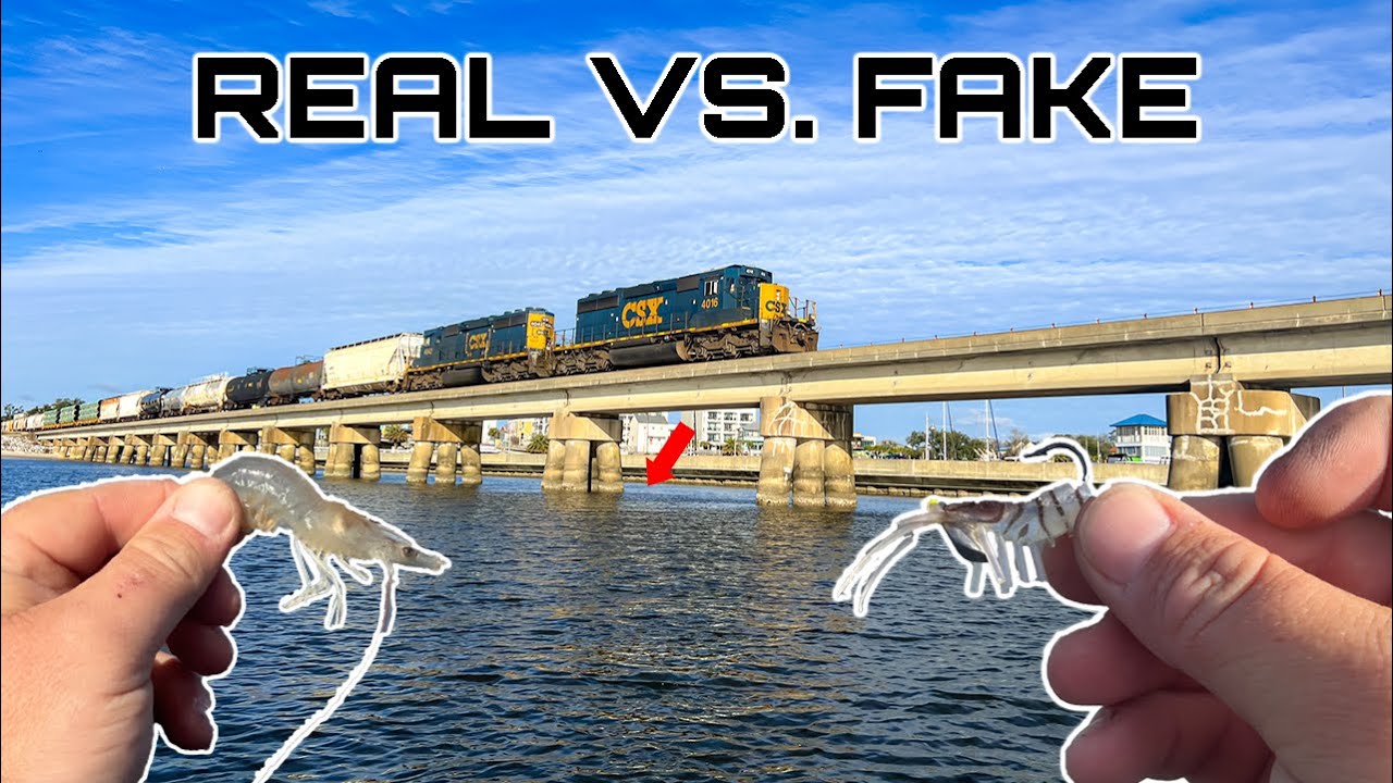 Fishing for Sheepshead REAL SHRIMP VS FAKE SHRIMP