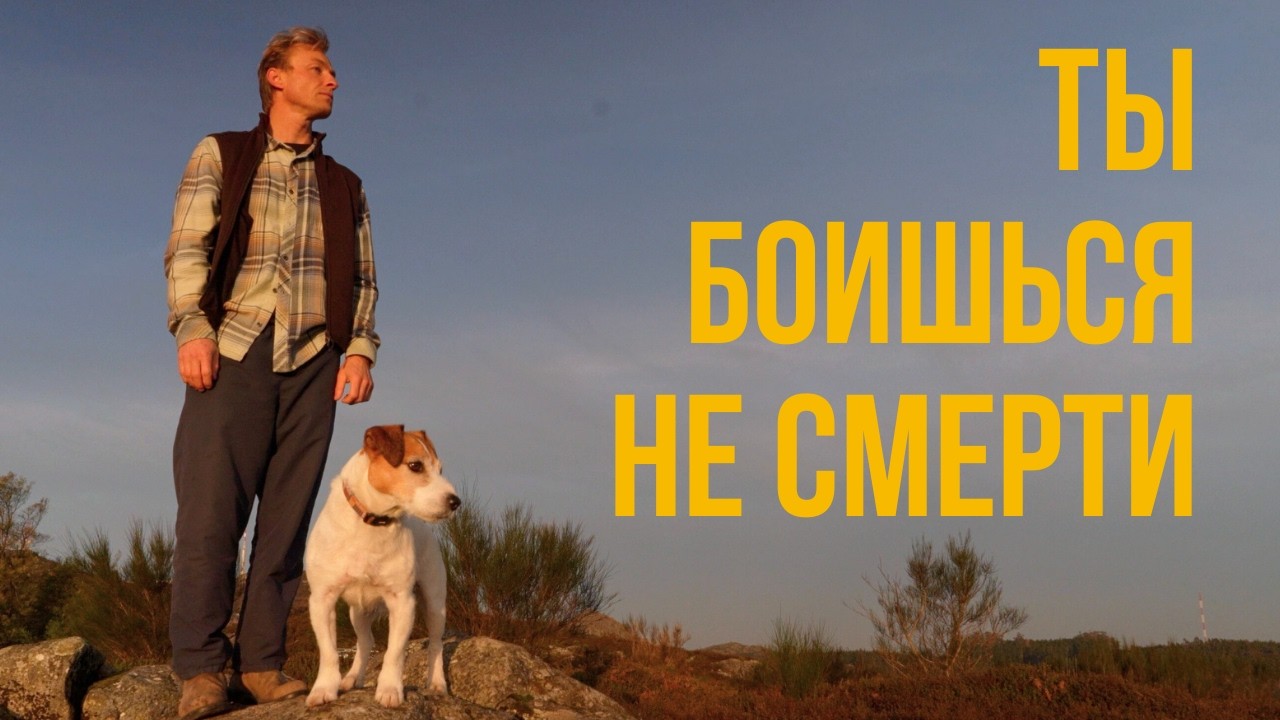 Все боятся смерти. Я боялся другого