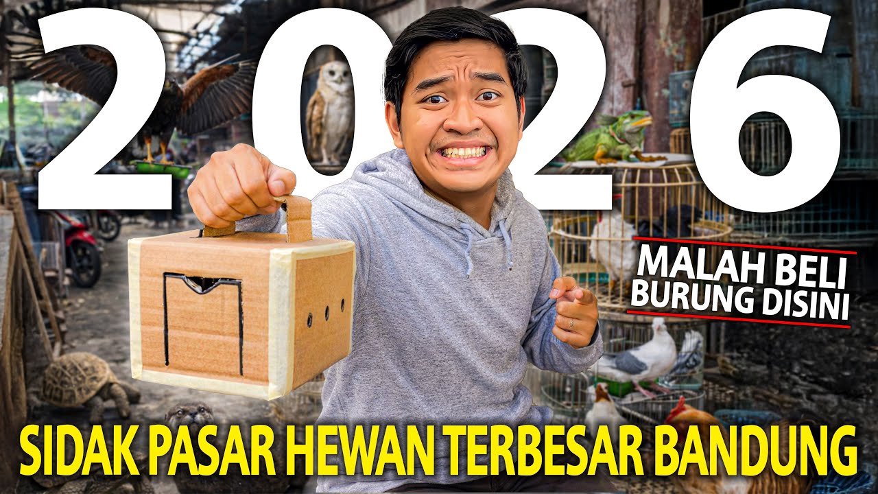 SIDAK PASAR HEWAN TERBESAR DI BANDUNG 2026! HEWANNYA MAKIN BERAGAM DI PASAR BURUNG SUKAHAJI!
