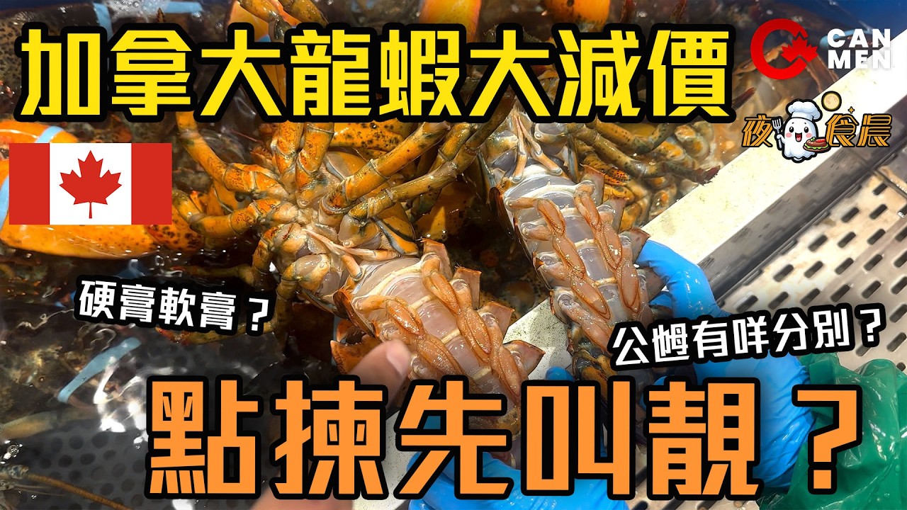 加拿大龍蝦滯銷大減價！ 公乸原來有分別  點揀先靚？ 蒸幾耐？ 仲有咩海鮮？ 夜鬼食晨