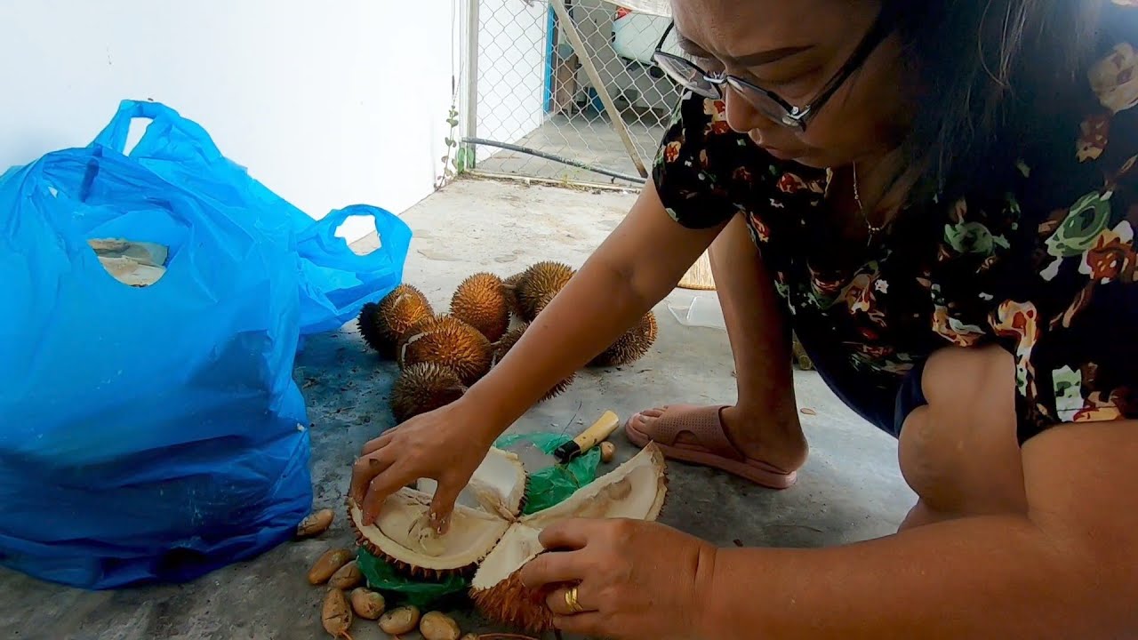 MANIS DAN LUNAK DURIAN KAMPUNG YANG DIBELI