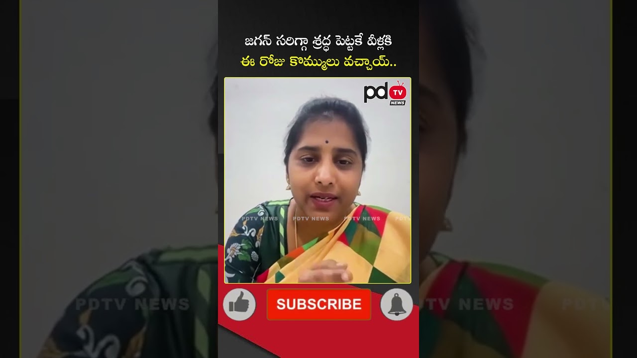 YSRCP Leader Punyaseela Comments on TDP Leaders : #shorts #pdtvnews