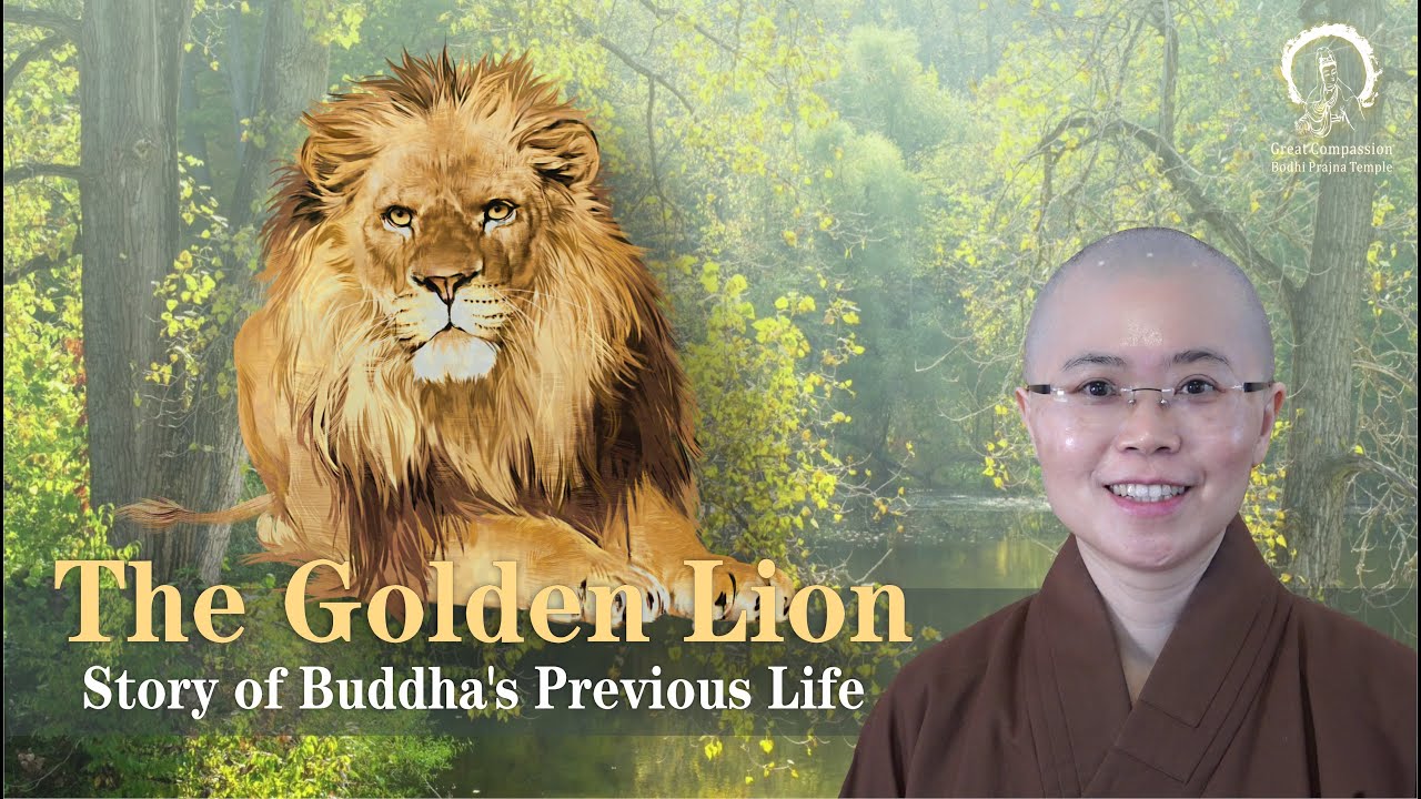 Story of Buddha's Previous Life | Buddhist Story:The Golden Lion | Master Miao Yin | 佛陀本生故事金色獅子|妙音法師