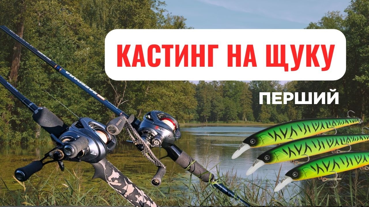ПРОБЛЕМЫ В КАСТИНГЕ о которых следует знать перед покупкой