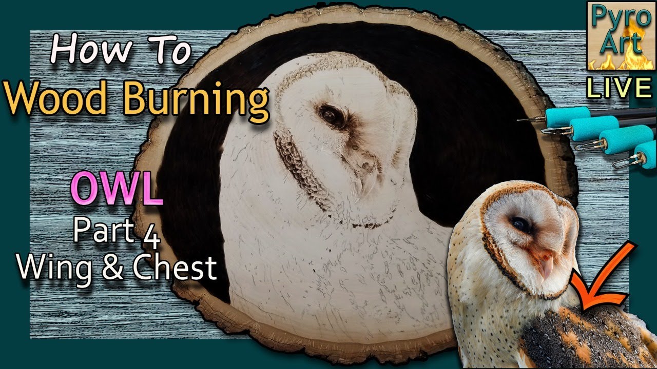 Pyrography Live How To: Wood Burning an Owl Pt4 Wing & Chest Feathers