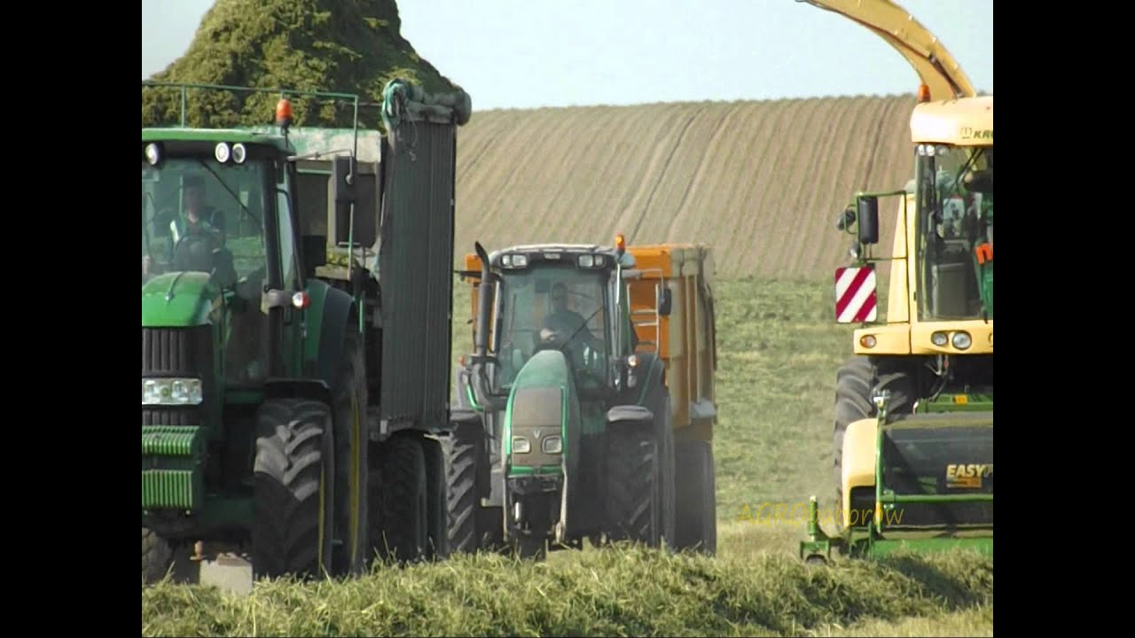 Zbieranie Zielonek w Kombinacie Rolnym Kietrz